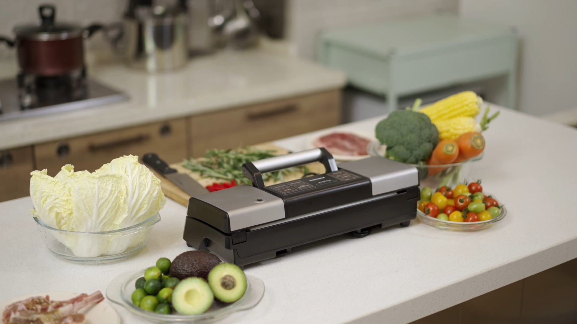 Food Vacuum Sealer